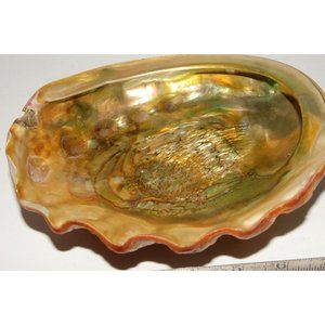 Abalone Shell Footed Bowl Vintage MCM Colorful Decorative Sea Shell Bowl flaw